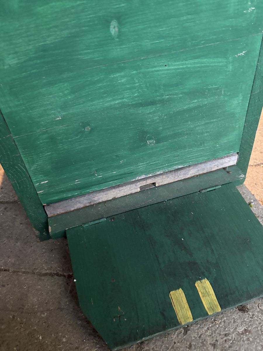 Alveari: Bienen Magazinbeute, CH-Mass – Usato da Zweisimmen venduto da FloBuc 1