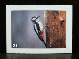 MIGROS MANIA Nature Detectives Nr. 21