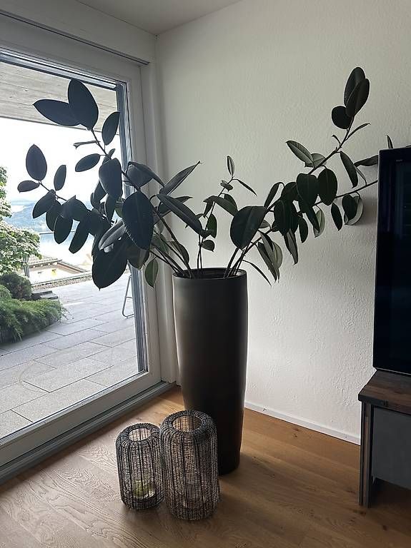 Vasi & Recipienti: Vase mit Pflaze zusammen – Usato da Zug venduto da andji_1715