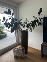 Vase mit Pflaze zusammen