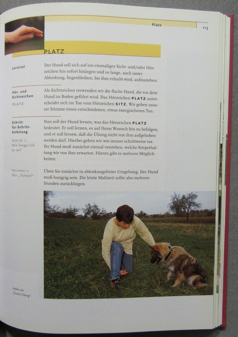 Libri: Das Kosmos Erziehungsprogramm für Hunde - sanfte Methoden – Usato da Auenstein venduto da Padabimbim 4