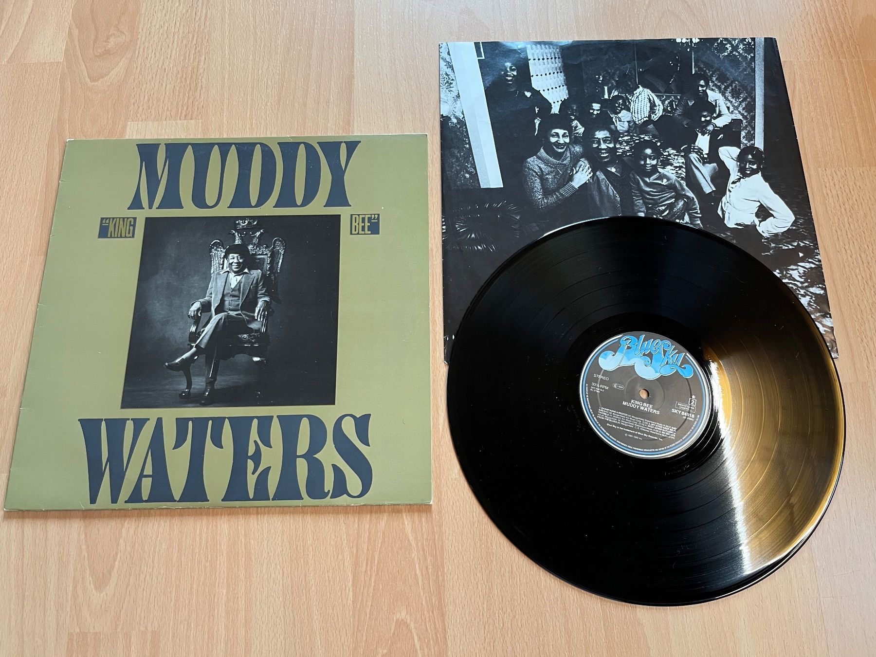 Vinyles: Muddy Waters mit Johnny Winter - King Bee – D'occasion à Giebenach par Wurlitzer70