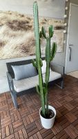 2 Grosse 🌵 Kaktus Euphorbia 145 cm inkl. Topf