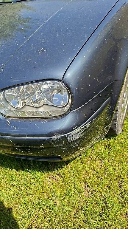 Autos: VW Golf 4 1.6 – Gebraucht aus Recherswil von spi_jz2x 4