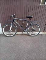 velo Mountainbike Topzustand 