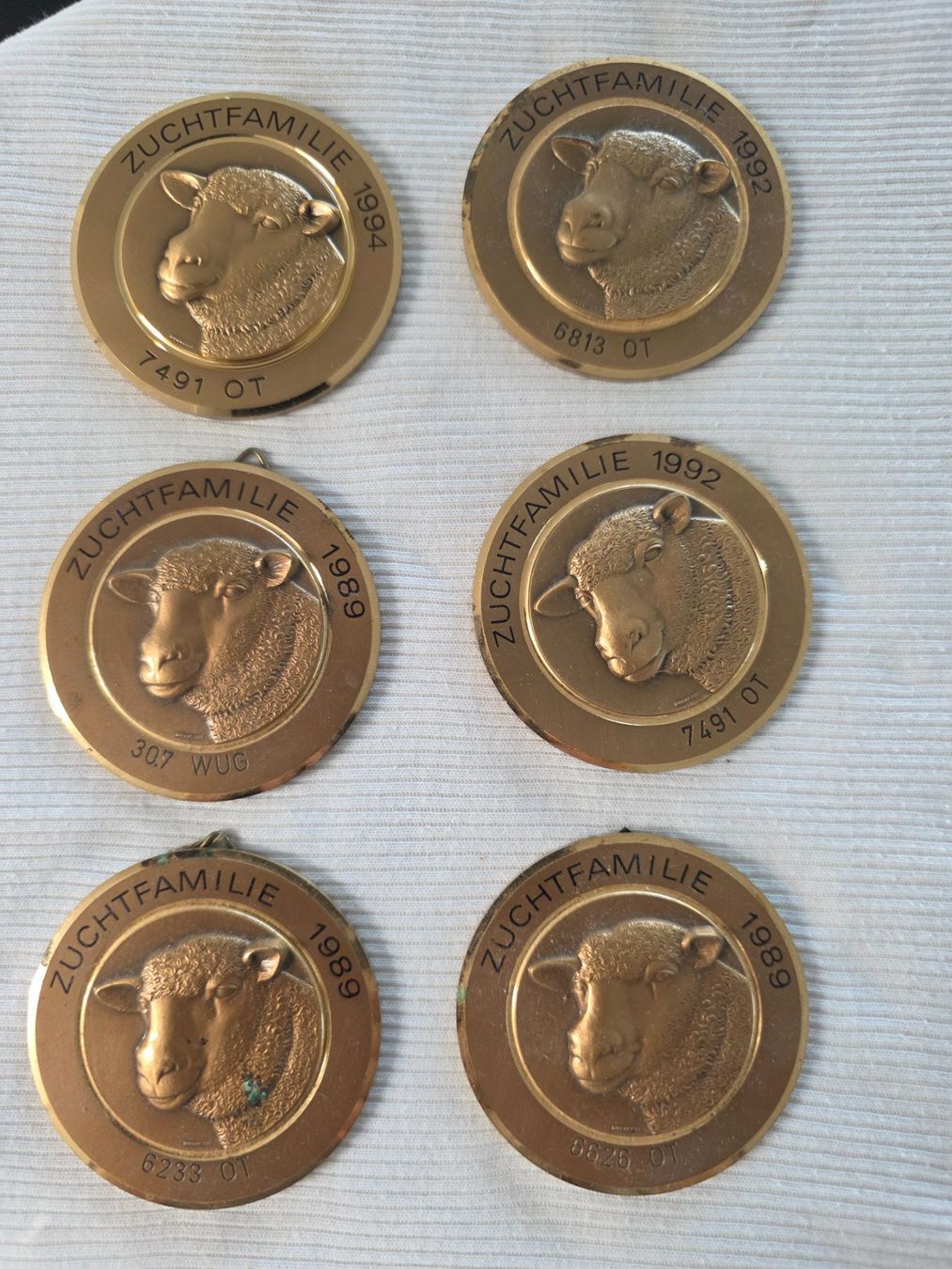 Medaglie: Zuchtmedallien – Usato da Bronschhofen venduto da JEDPS 1