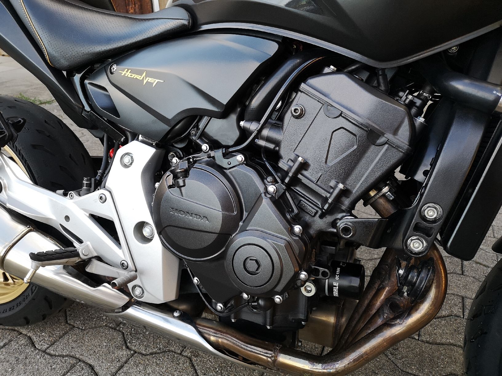 Honda Strasse: Honda CB600FA Hornet – Gebraucht aus Thalheim an der Thur von strohfiich44 4