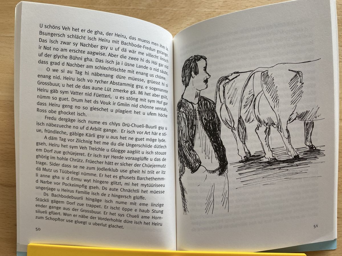 Bücher: Dä cheibe Gwunger - Hans Schmidiger  – Gebraucht aus Schwarzenburg von Michellu 6