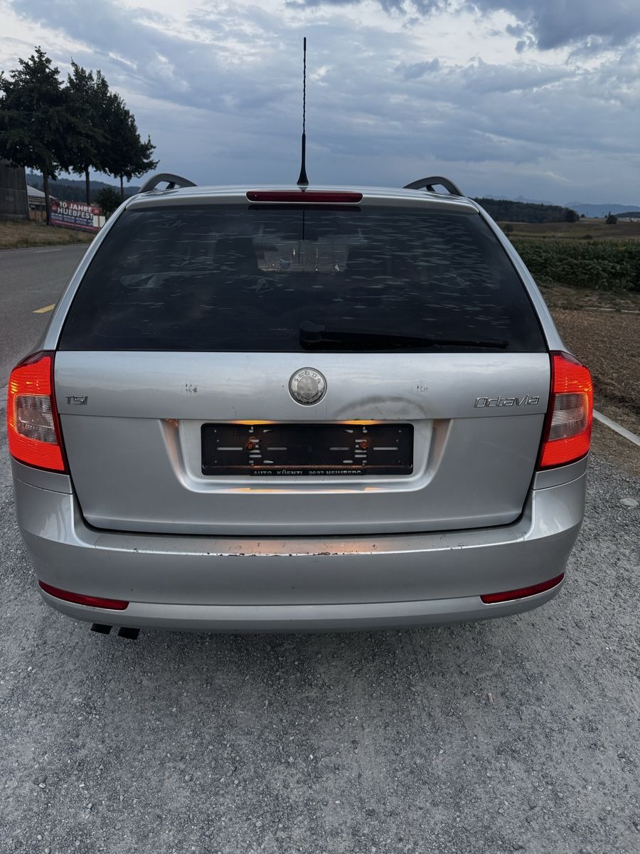 Skoda Automobili: SKODA Octavia 1.4TSI B5a – Usato da Hinterkappelen venduto da animren1986 3