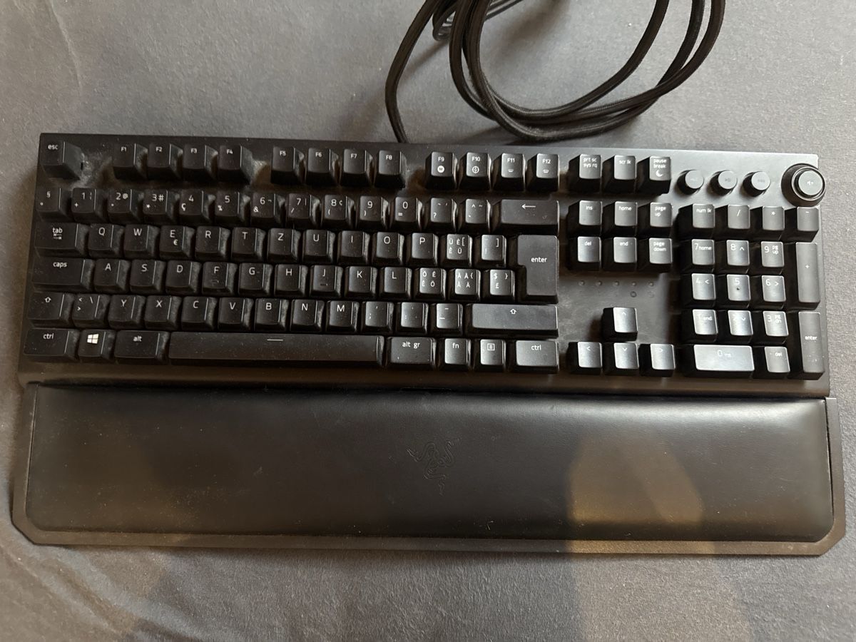 Razer Tastiere: Razer BlackWidow Elite – Usato da Appenzell venduto da luc_rx5y