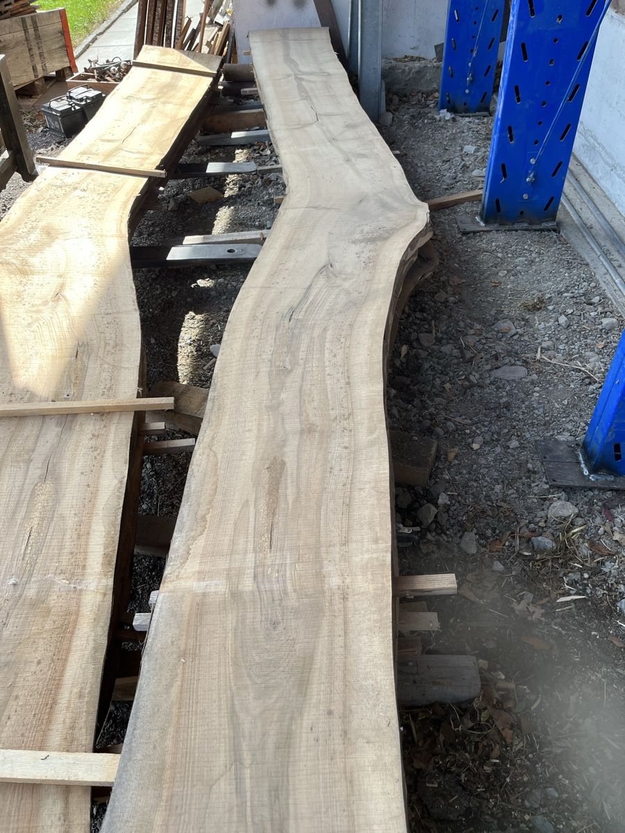 Articoli in legno: Nussbaum – Nuovo (secondo la descrizione) da Gamprin venduto da ha6 1