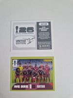 Panini Sticker QAT13