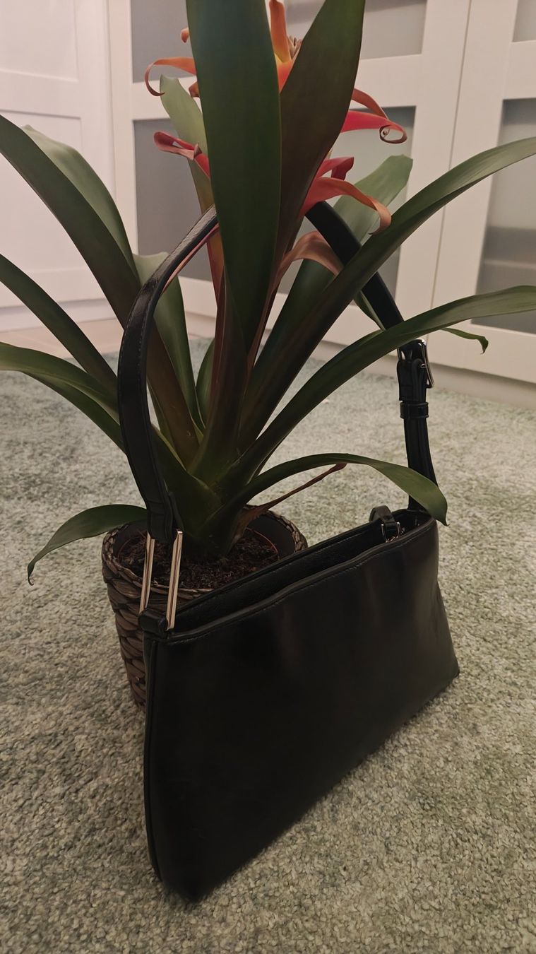 Mango Borse da donna: Stilvolle kleine schwarze Tasche – Usato da Thalwil venduto da hri_s2bq