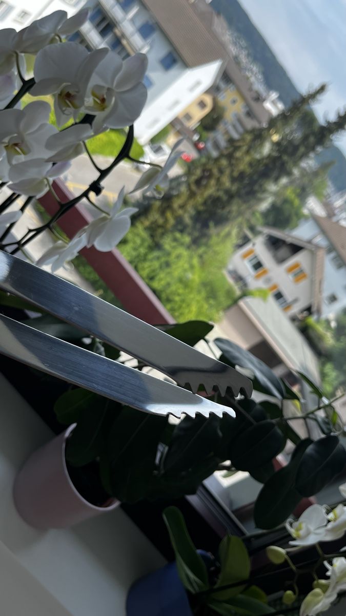 Set di posate: Grillzange Feldschlösschen🔪 – Usato da Dietikon venduto da coolstory 1