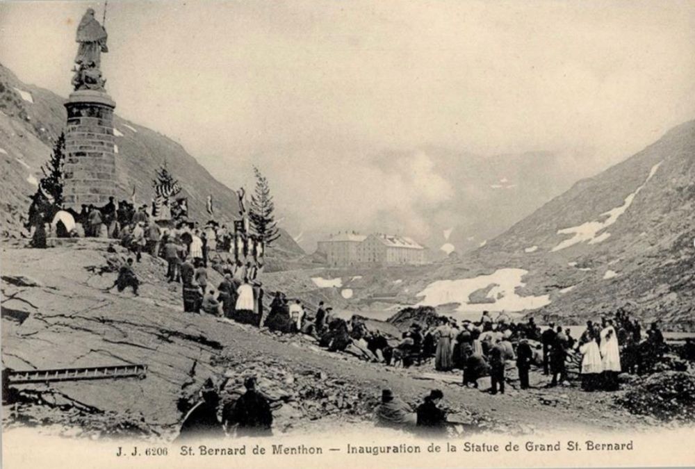 G. Saint Bernard VS belebt Kaufen auf Ricardo