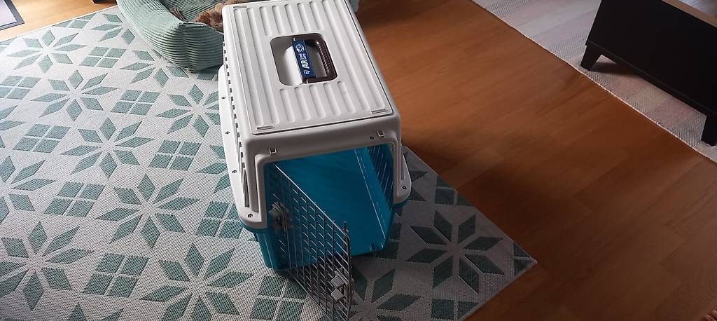 Gabbie, trasporto & Sicurezza: Hundebox – Usato da Aathal-Seegräben venduto da Reto1203 2