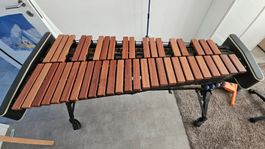 Konzert Xylophon