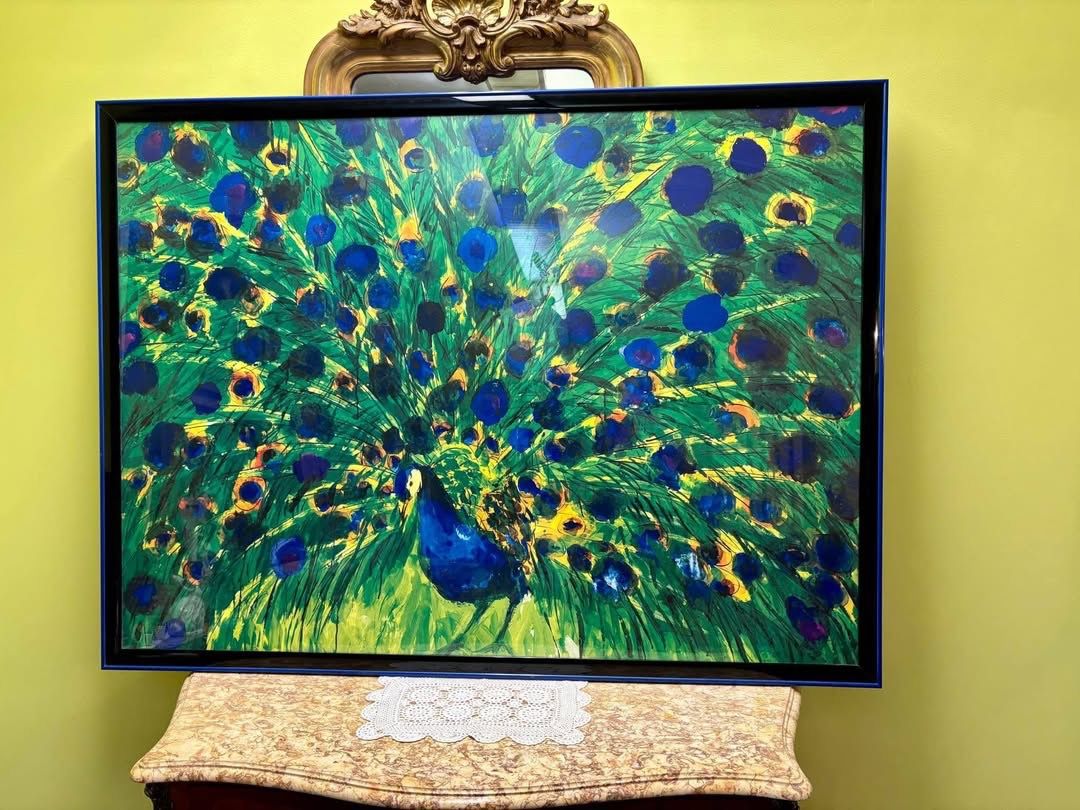 Foto & Immagini: Kunstdruck Pfau Alurahmen – Usato da Hindelbank venduto da brm_72zv