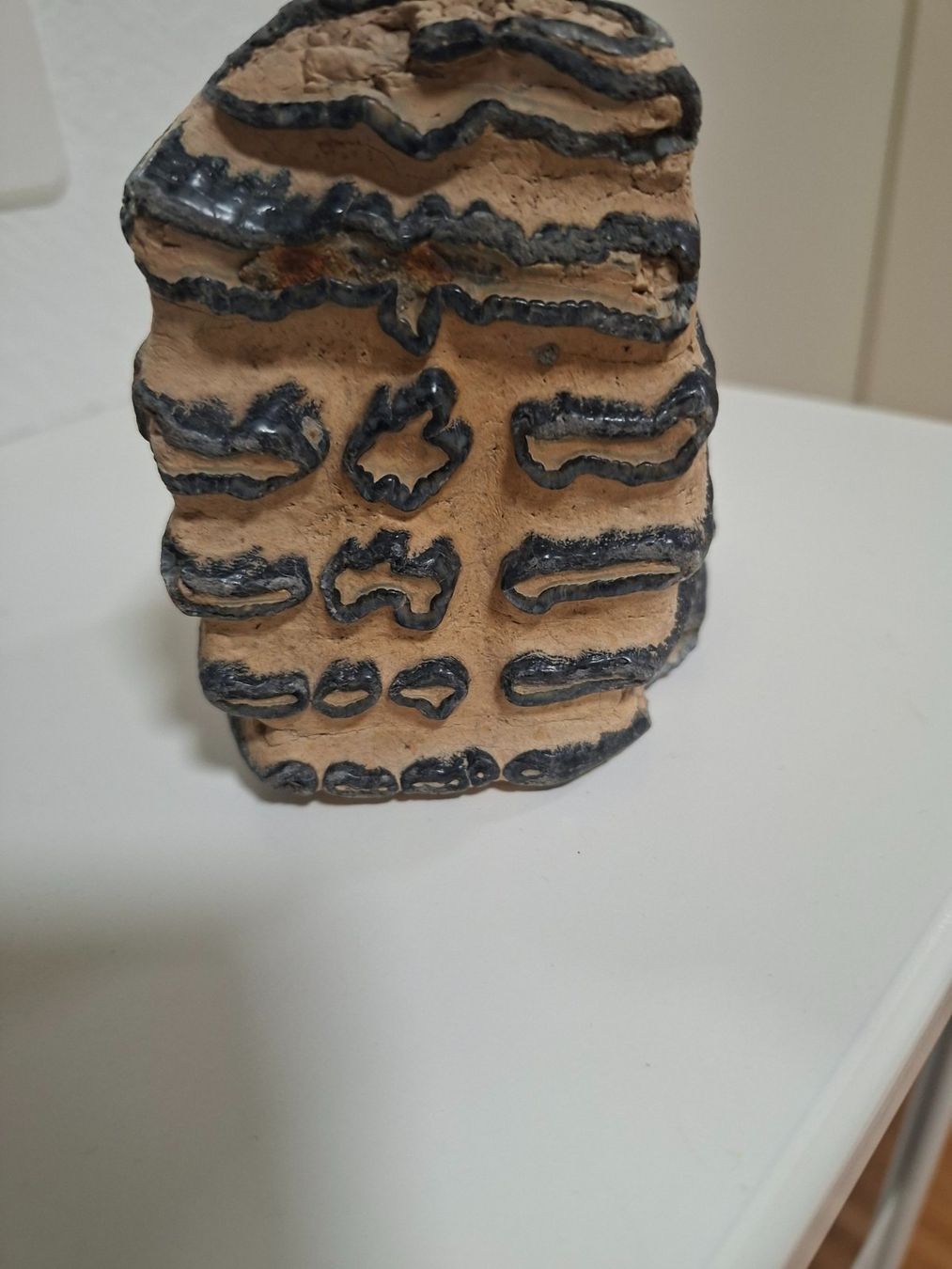 Fossili: Mammutzahn – Usato da Aesch BL venduto da Pendrive 3