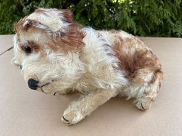 seltener Steiff Molly Hund um 1930