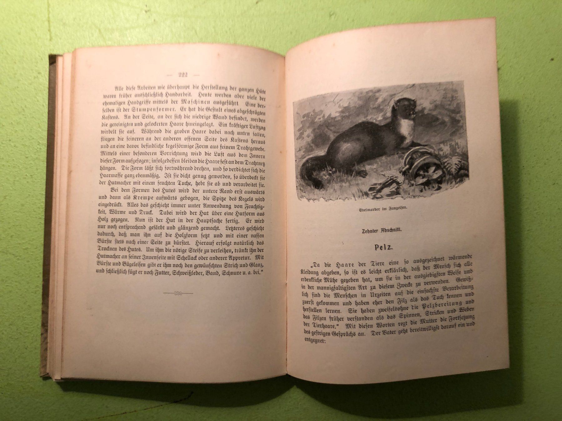 Libri: Max Eschner: Natur und Menschenhand – Usato da Zürich venduto da allp 7