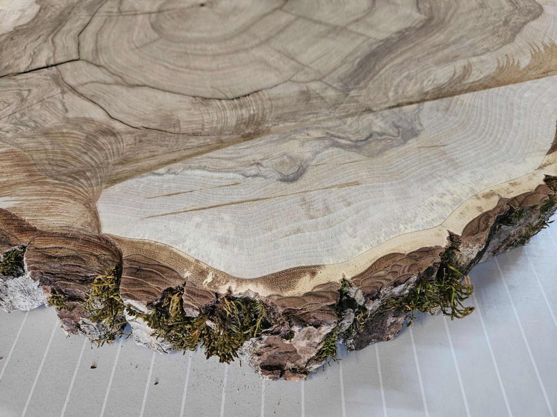 Holzartikel: Nussbaum Holz Baumscheibe – Neu (gemäss Beschreibung) aus Schangnau von egli6.2 4