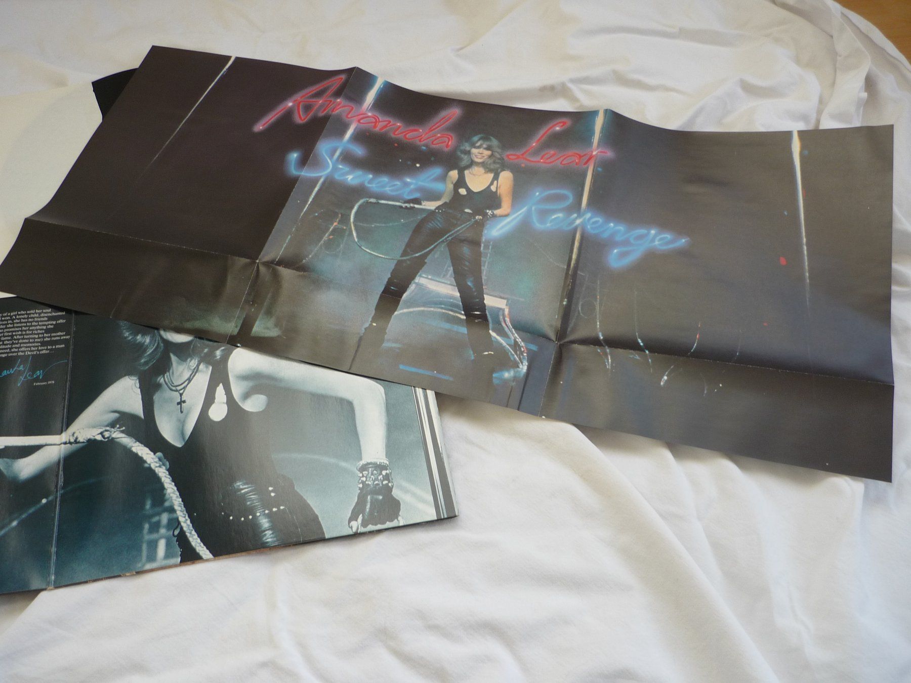Schallplatten: 1x 12" Schallplatte - Amanda Lear - sweet revenge + Poster – Gebraucht aus Beringen von Flatretriever 2