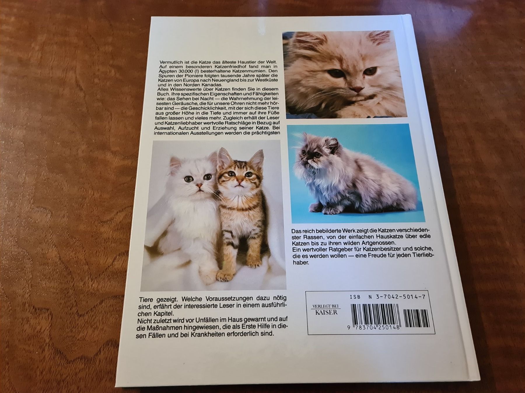 Libri: Das grosse Katzenbuch – Usato da Erstfeld venduto da Mario_boe0 1