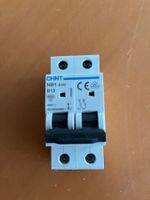 Chint 1NB1-63 2P C13 Leitungsschutzschalter 2pol