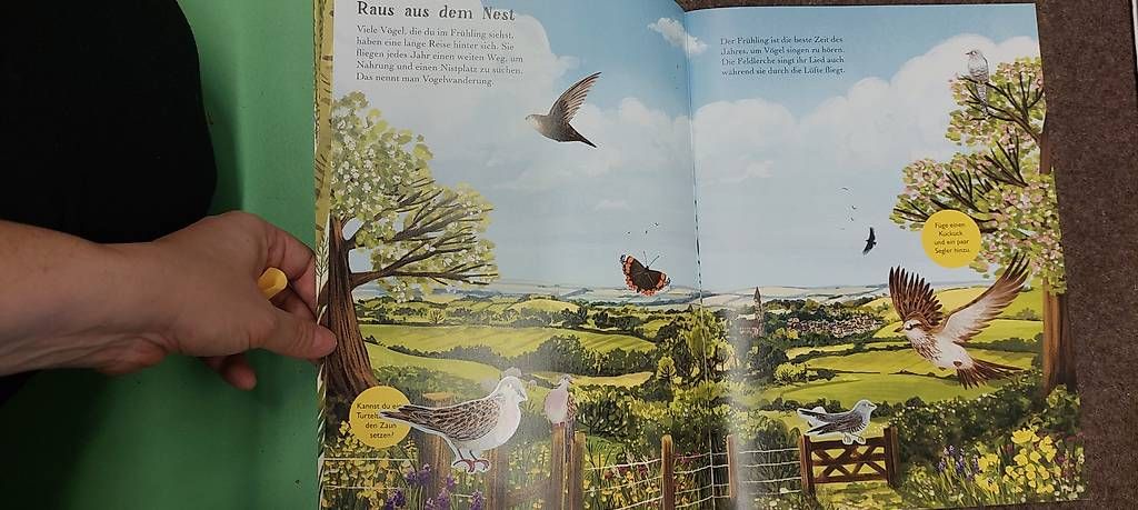 Libri: Stickerbuch Vögel – Nuovo e nell'imballaggio originale da Wohlenschwil venduto da Fabii82 1