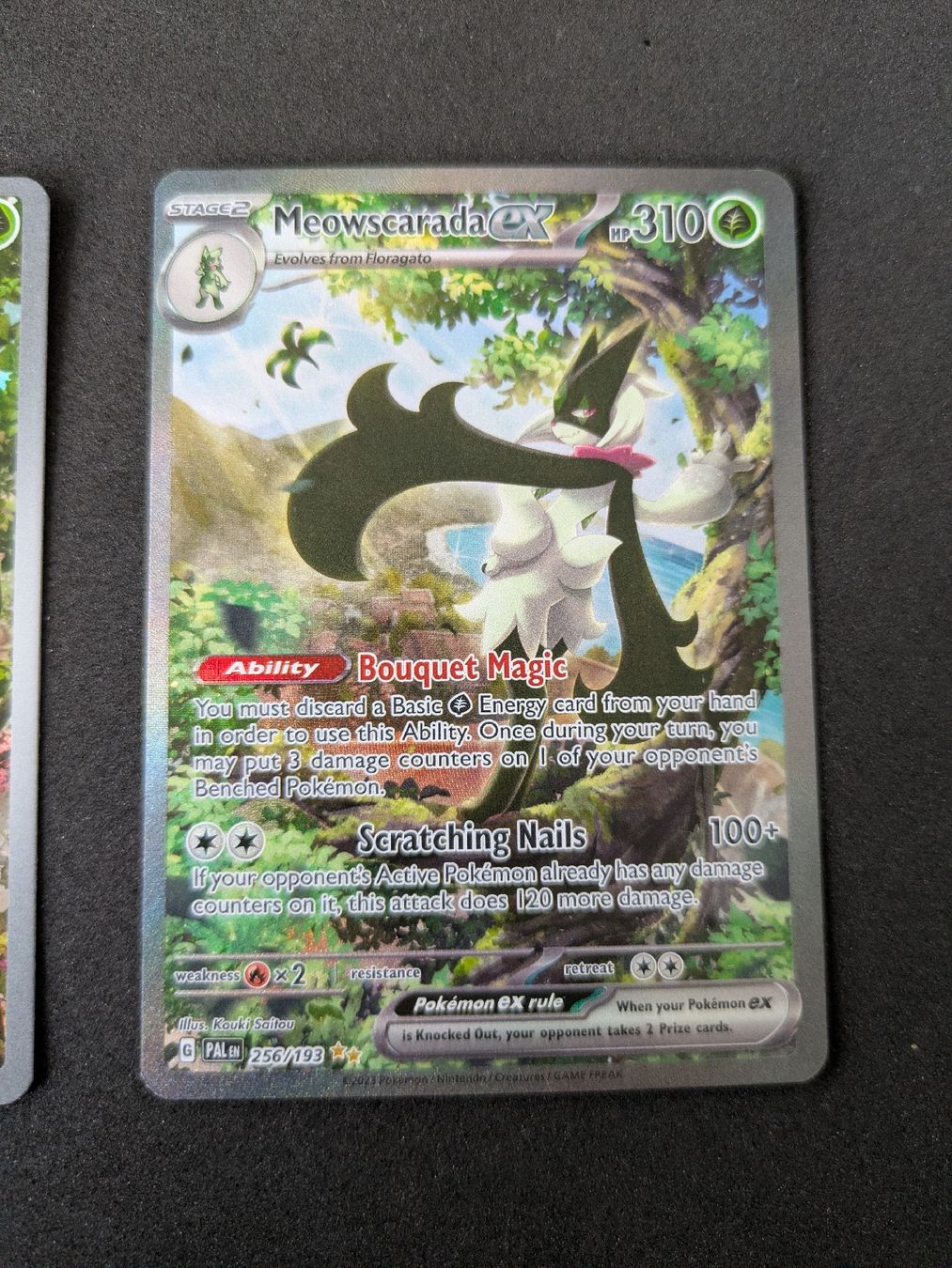 Pokémon Carte collezionabili: Sprigatito, Floragato+Meowscarada (Paldea Evolved) – Nuovo (secondo la descrizione) da Hochdorf venduto da NoctisCaelum 3