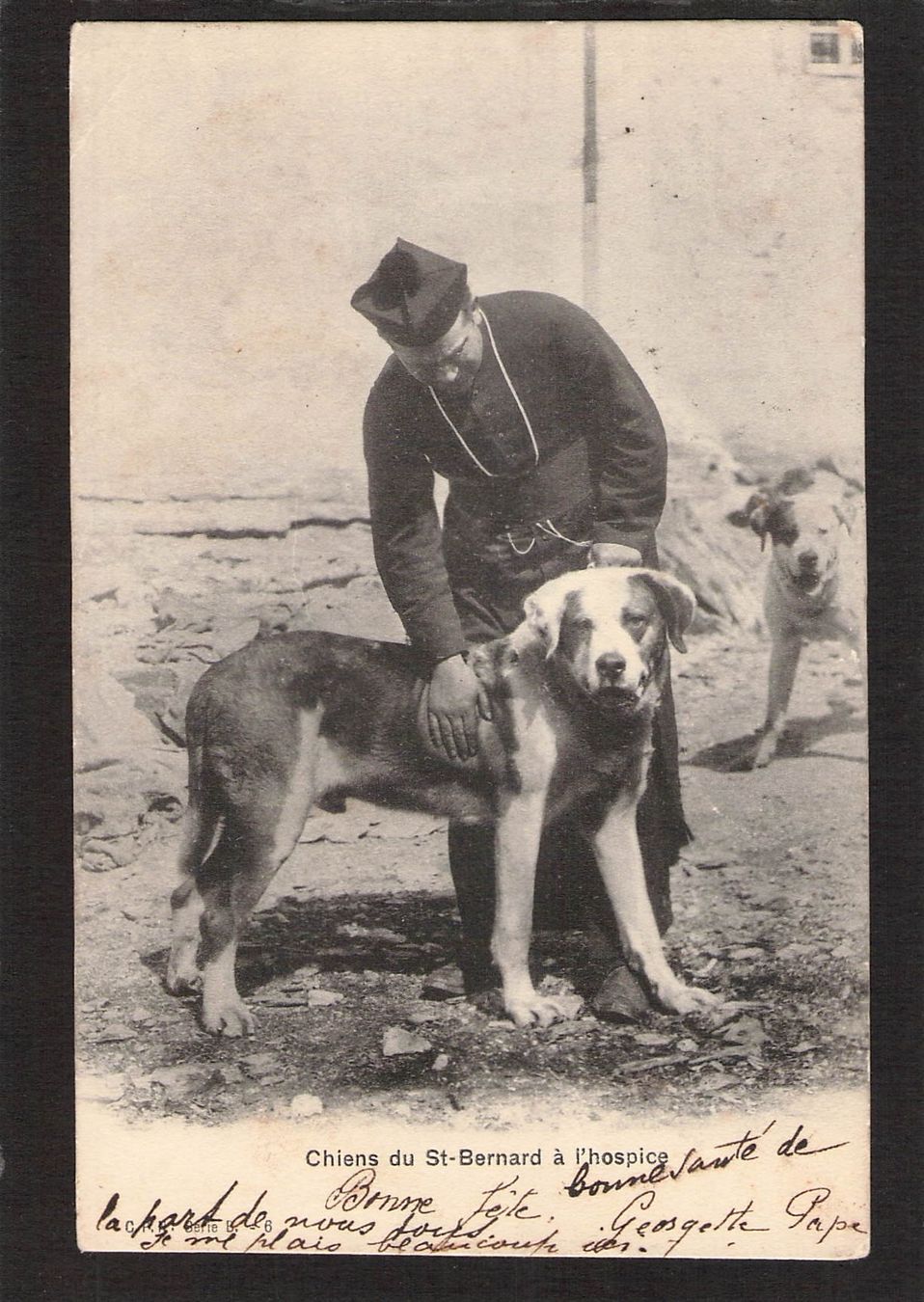 Ansichtskarten: Stabstempel Corcelles auf AK Chiens du St.Bernhard , 1904 – Gebraucht aus Reichenburg von Pipo-67