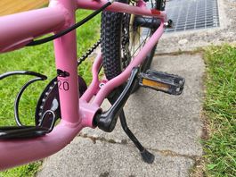 Naloo 20 Zoll Kinderfahrrad 