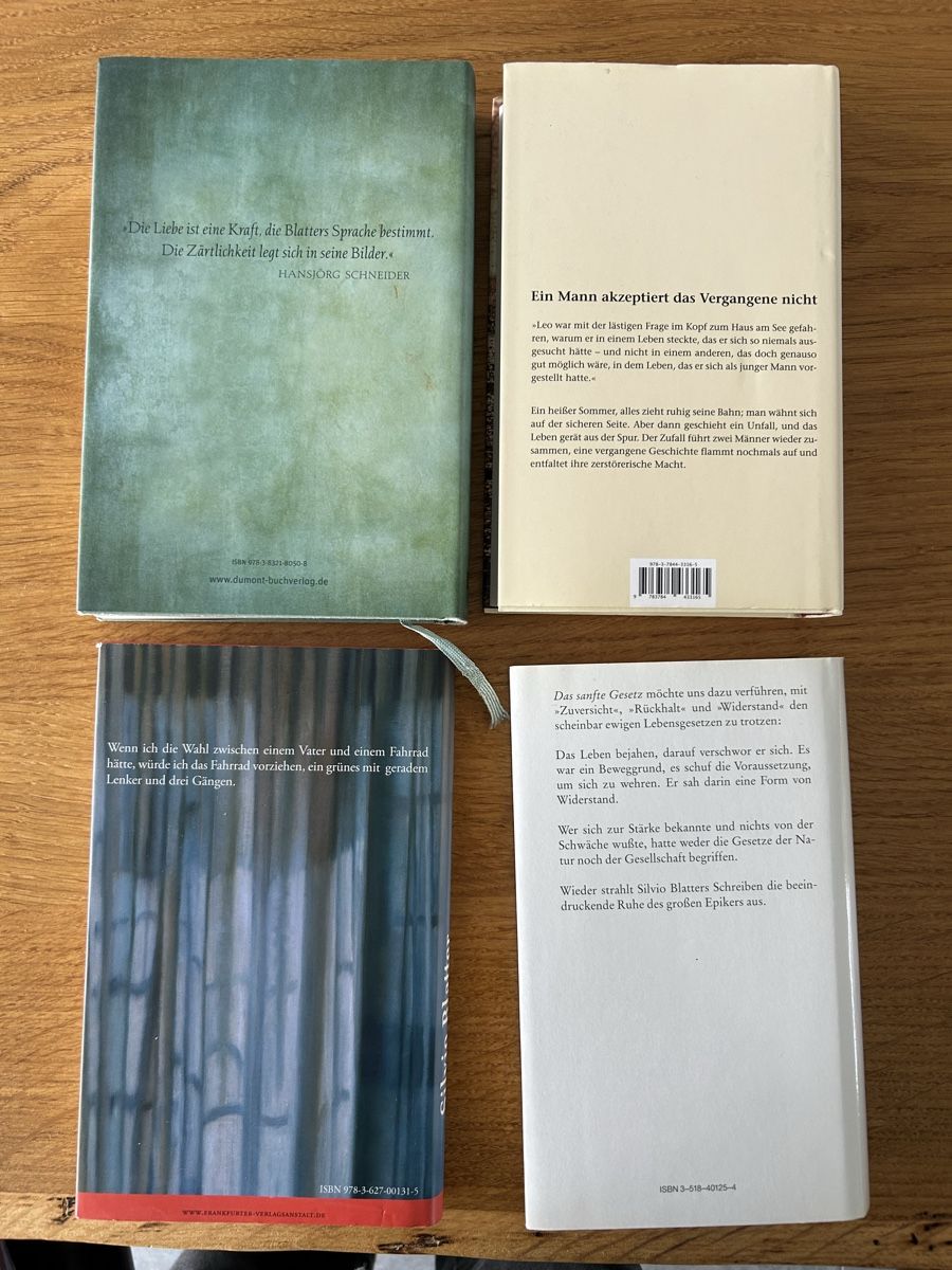 Libri: Silvio Blatter - 4 Romane im Set - Top Zustand! – Usato da Wohlen AG venduto da Rstoeckli6 1