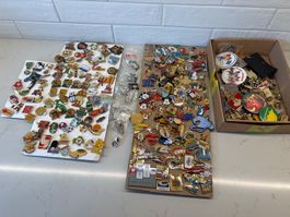 Grand lot de pins divers