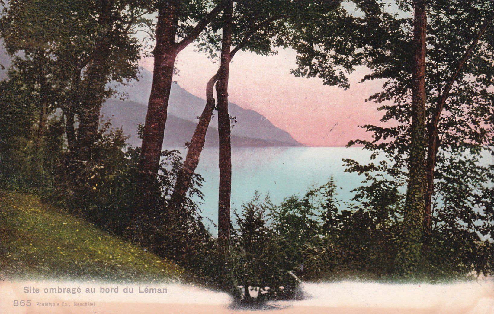 Cartoline postali: Site ombragé au bord du Léman  1908 – Usato da Cormoret venduto da Pascalll2001