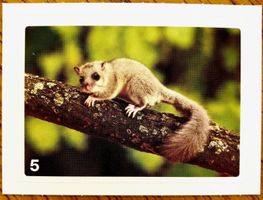 Migros Nature Detectives - Bild Nr. 5