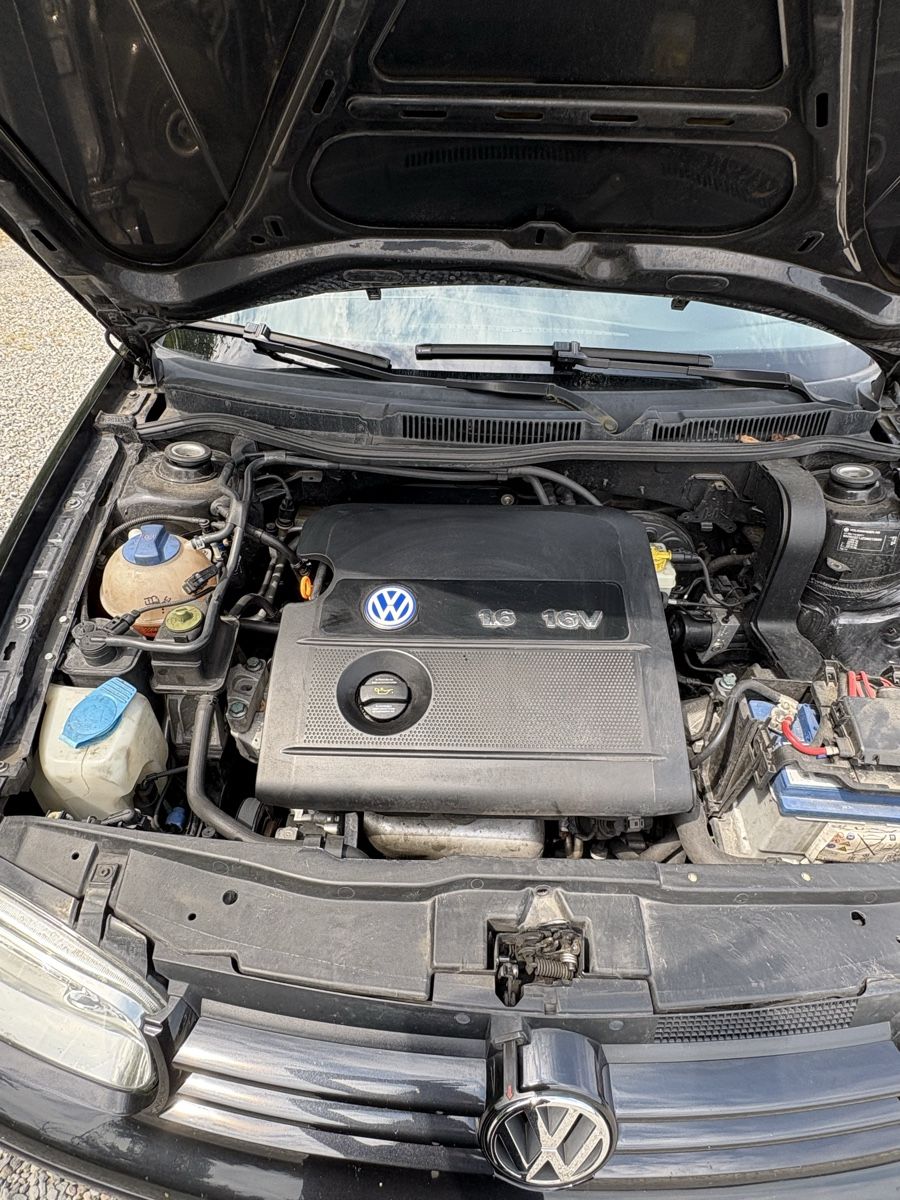 VW Automobili: VW Golf 1.6 16V, schwarz, 2003 – Usato da Bremgarten AG venduto da gio_mvk6 8