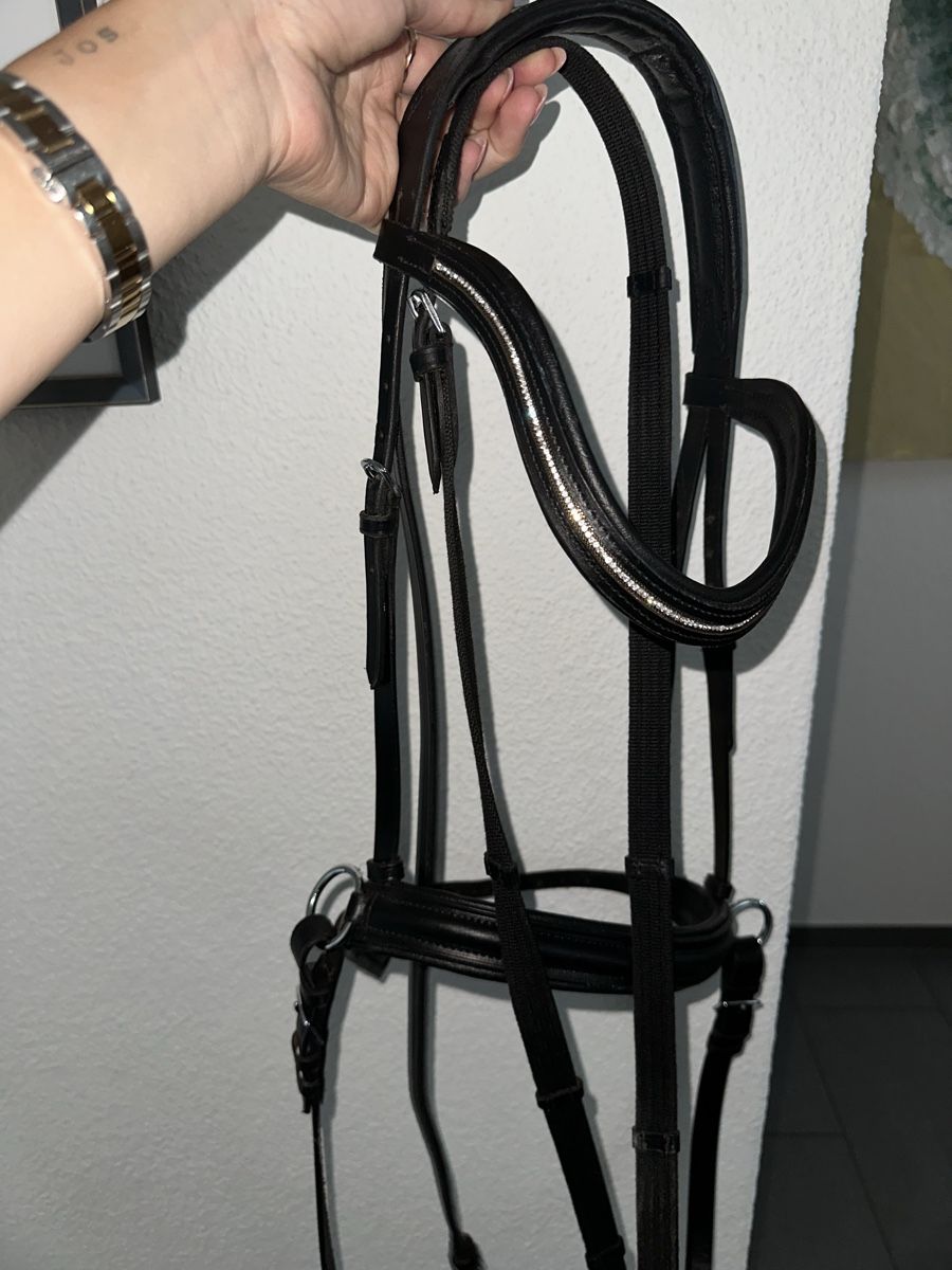 Felix Bühler Zaumzeug & Halfter: COB Sidepull - Gebisslose Trense – Neu (gemäss Beschreibung) aus Dättwil AG von LorenaWeber 2