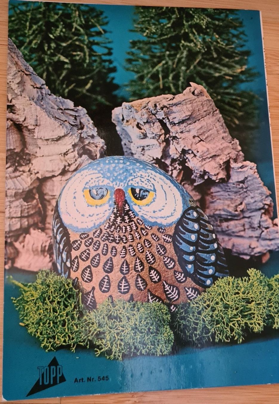 Libri: Bastelbuch, Steine geklebt und bemalt – Usato da Winkel venduto da Tongabonga 1