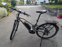 Flyer E-Bike 45kmh vollgefedert, guter Zustand, Sommerdeal!