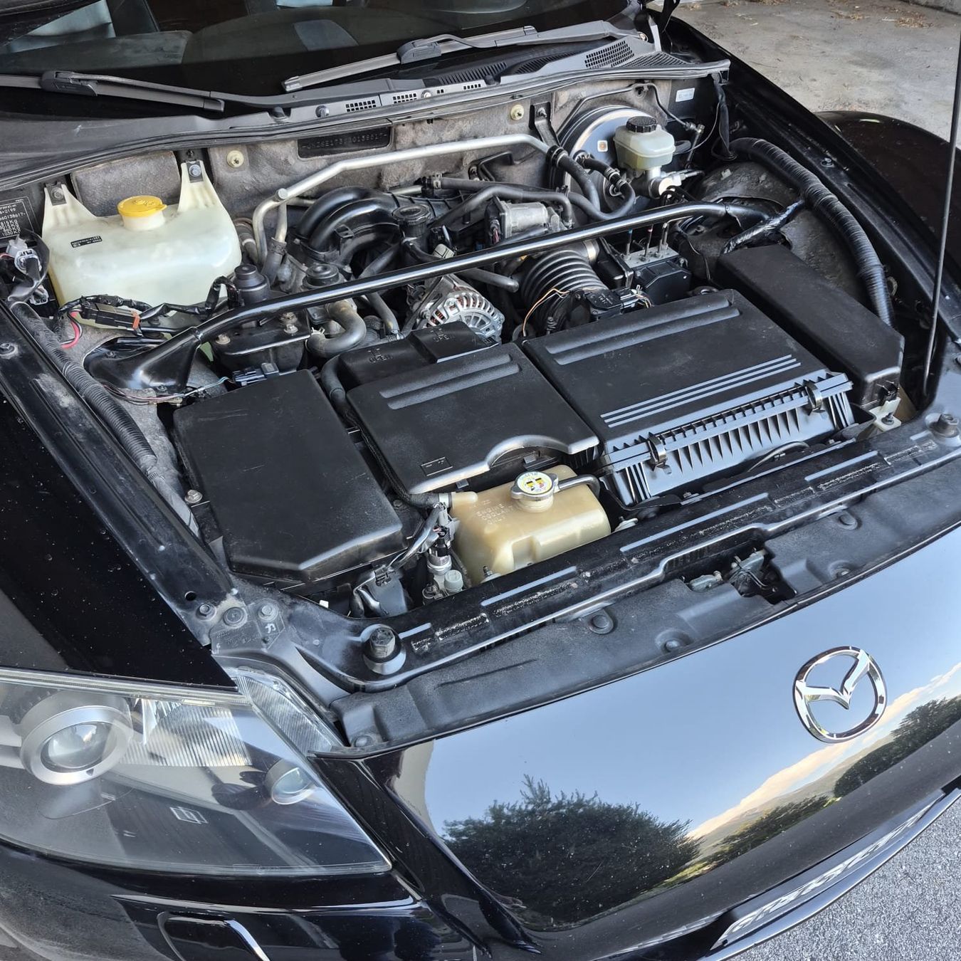 Mazda Automobili: Mazda RX8 HP,, 231ps,,legendäres Auto – Usato da Falera venduto da bru_lrz6 6