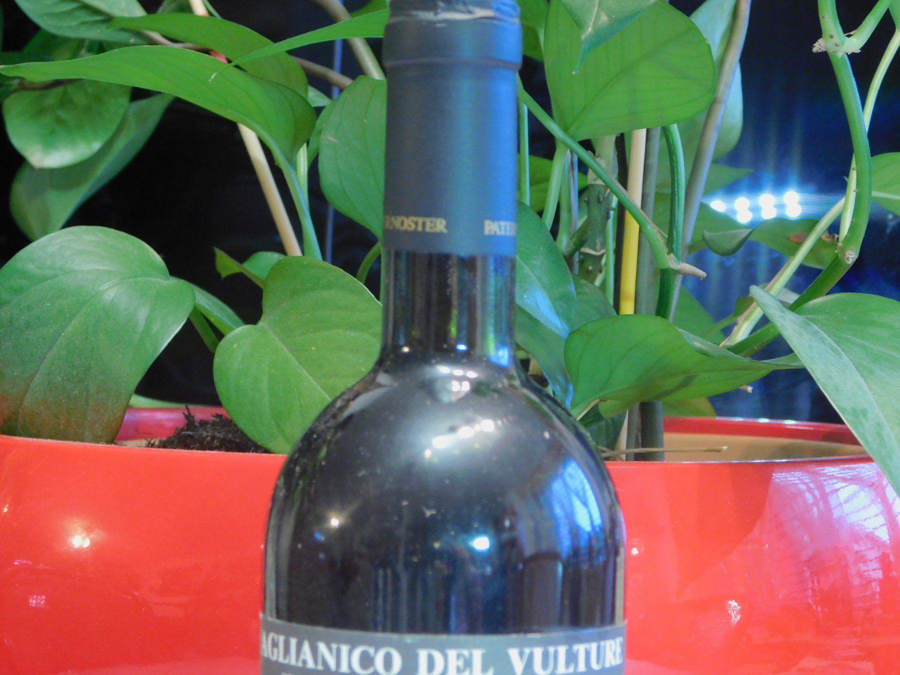 Vino: Rarität Paternoster 1996er – Nuovo (secondo la descrizione) da Emmenbrücke venduto da Ulisse-22 2