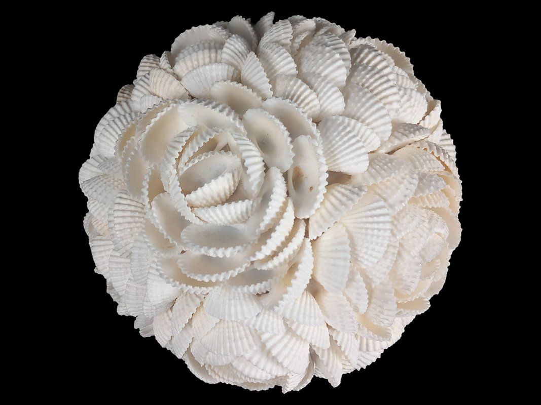 Tutte le decorazioni: Muschelkugel Rosenmuster – Usato da Hünenberg venduto da Restwert_Zug 6