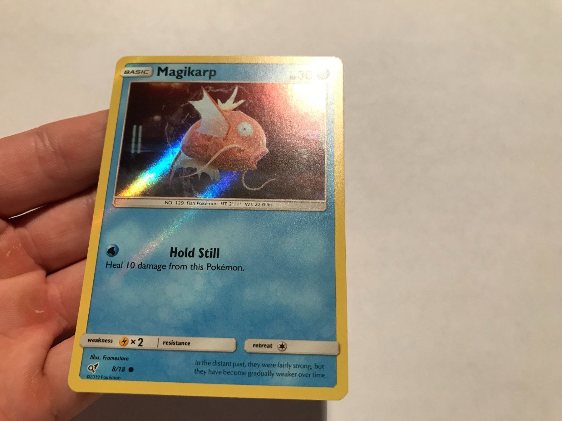 Pokémon Carte collezionabili: Magikarp holo Detective Pikachu – Nuovo (secondo la descrizione) da Hagendorn venduto da Pokecollectorch 3