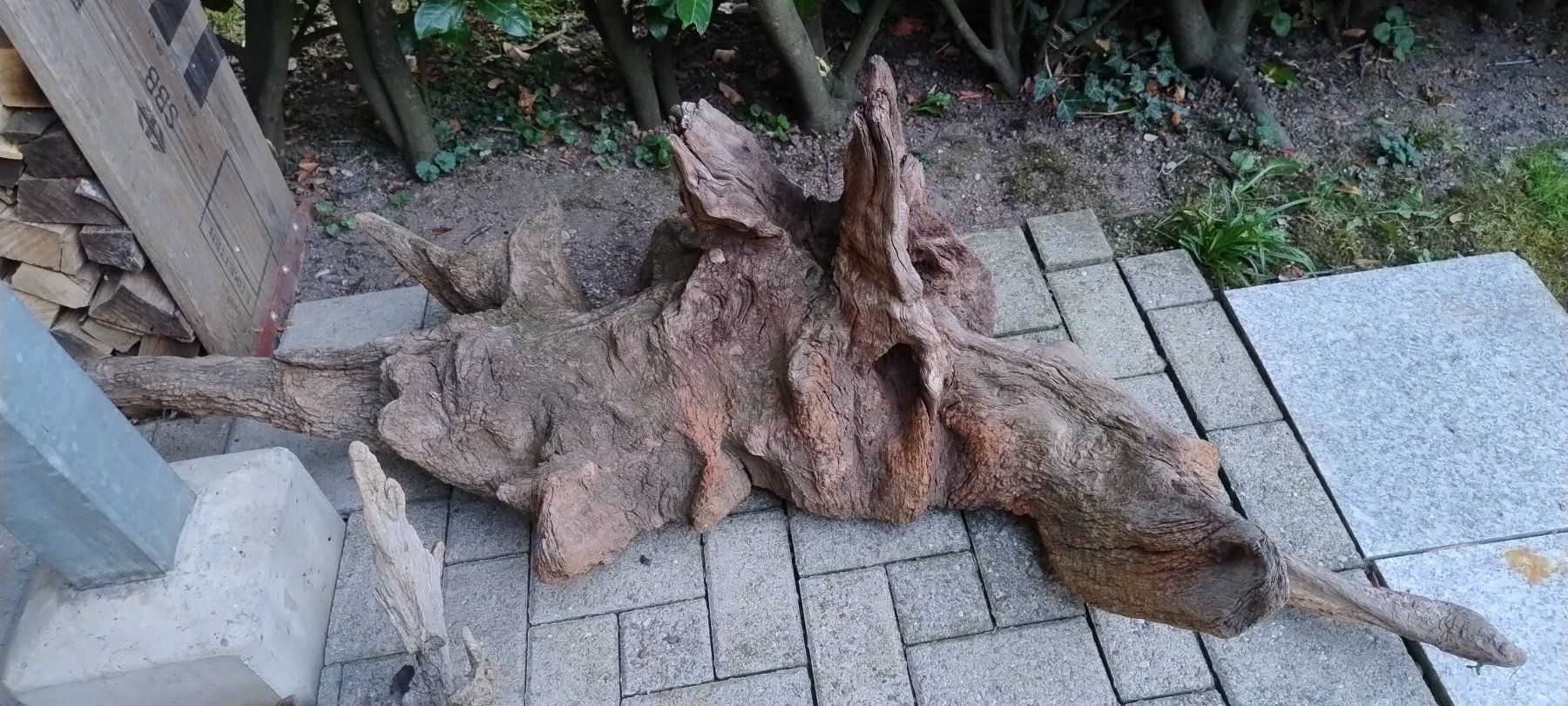 Articoli in legno: Wurzel – Usato da Egg b. Zürich venduto da el_gato_77