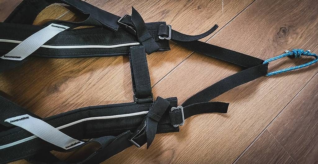 Guinzagli & Collari: Non-stop DogwearFreemotion Harness Grösse 7 – Nuovo (secondo la descrizione) da Näfels venduto da AllerleiCH 1