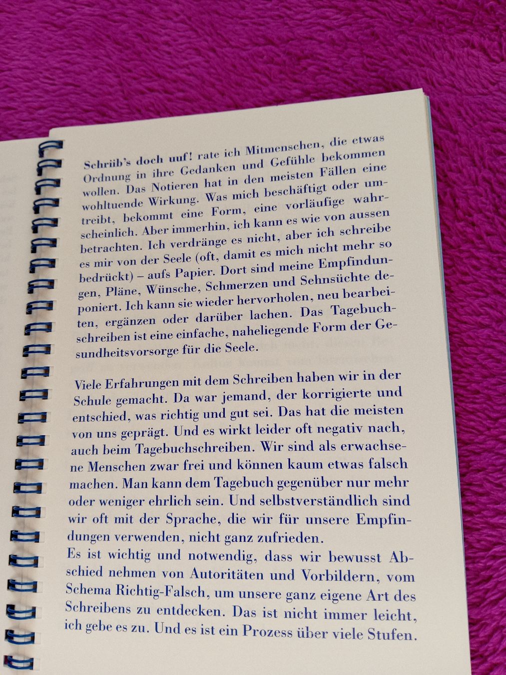 Livres: Ein besonderes Tagebuch – Neuf (Voir description) à Witterswil par hele04 4