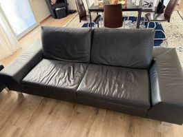 Bullfrog Designersofa in Leder