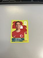 Panini 2026